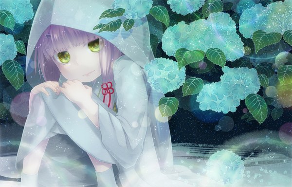 Anime picture 1800x1152 with original nekotama (artist) long hair highres green eyes purple hair girl plant (plants) hood