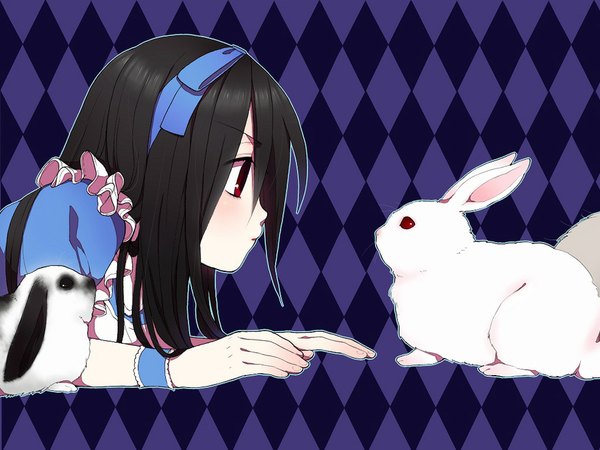 Anime picture 1024x768 with alice in wonderland alice (wonderland) blush black hair simple background red eyes face to face rhombus girl dress hairband bunny