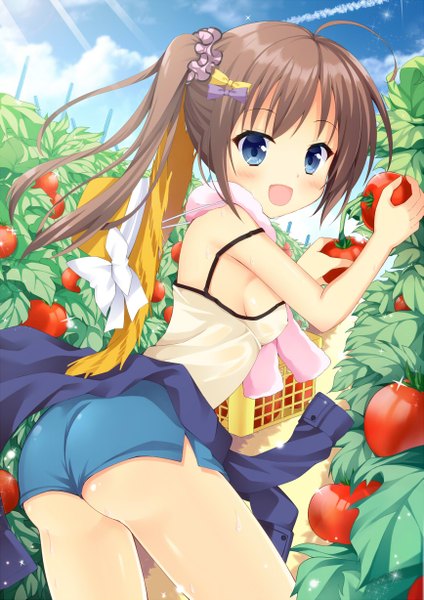 Anime picture 867x1227 with original maccha single long hair tall image looking at viewer blush breasts open mouth blue eyes light erotic brown hair side ponytail girl bow hat shorts short shorts straw hat vegetables