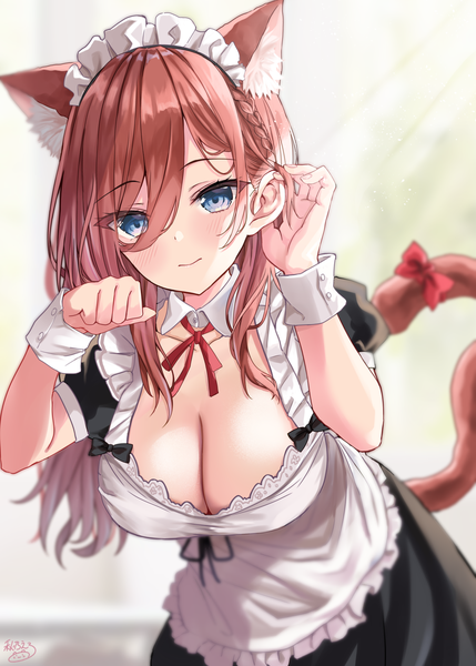 Anime picture 1500x2098 with go-toubun no hanayome nakano miku akino ell single long hair tall image fringe breasts blue eyes light erotic hair between eyes brown hair large breasts animal ears cleavage tail animal tail cat ears maid cat girl