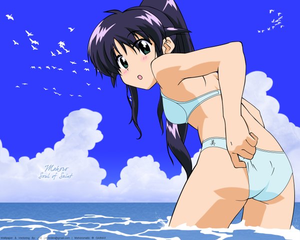 Anime picture 1280x1024 with mahoromatic andou mahoro looking at viewer blush open mouth light erotic black hair green eyes cloud (clouds) from behind swimsuit animal bikini sea bird (birds) seagull