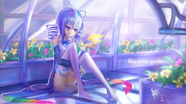 Anime picture 1600x899 with original wangchuan de quanyan single long hair light erotic wide image sitting purple eyes purple hair inscription pantyshot no shoes drill hair pantyshot sitting bird on hand girl thighhighs underwear flower (flowers) panties