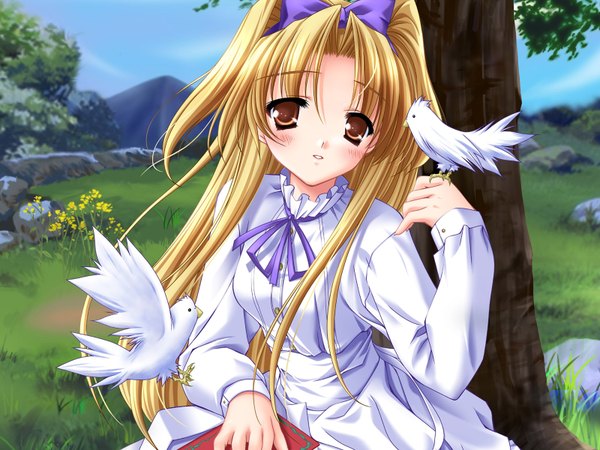 Anime picture 1600x1200 with platinum wind moekibara fumitake long hair blonde hair brown eyes mountain nature girl dress flower (flowers) bow plant (plants) hair bow animal tree (trees) white dress bird (birds) book (books) grass pigeon