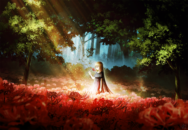 Anime picture 1300x901 with original mocha (cotton) single long hair fringe blue eyes brown hair standing signed looking away sunlight sunbeam girl dress flower (flowers) plant (plants) tree (trees) black dress forest higanbana