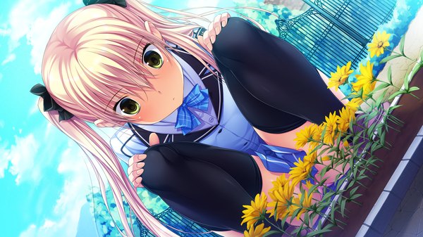 Anime picture 1280x720 with umisora no fragments shii anekawa single long hair blush light erotic blonde hair wide image twintails yellow eyes game cg girl thighhighs uniform underwear panties flower (flowers) bow black thighhighs hair bow