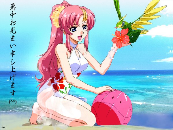 Anime picture 1152x864 with mobile suit gundam gundam seed sunrise (studio) lacus clyne haro torii (gundam) long hair fringe breasts blue eyes sitting bare shoulders holding payot looking away pink hair sky cloud (clouds) full body outdoors