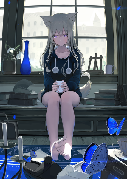 Anime picture 1812x2549 with original mikisai single long hair tall image looking at viewer fringe highres hair between eyes sitting purple eyes holding animal ears payot full body indoors tail animal tail barefoot grey hair