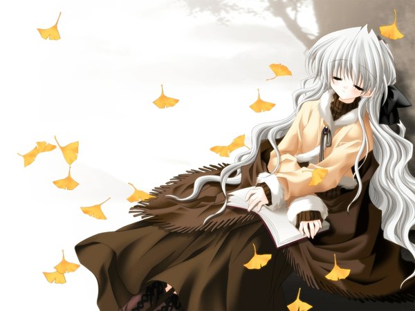 Anime picture 1600x1200 with re-laive original serizawa aoi sakurazawa izumi single long hair blush highres white background sitting silver hair eyes closed wallpaper sleeping autumn girl bow hair bow boots book (books)