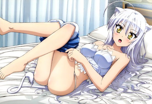 Anime picture 7233x4955 with dog days nyantype leonmitchelli galette des rois tamaki shingo single long hair blush highres open mouth light erotic animal ears yellow eyes absurdres ass white hair lying animal tail scan official art underwear only