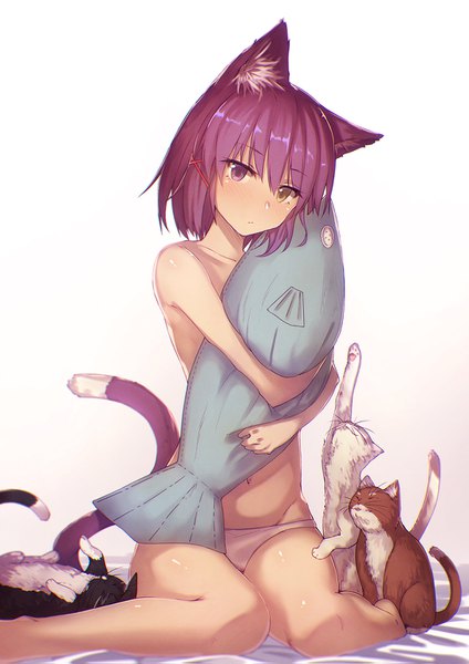 Anime picture 1085x1535 with original ibuki notsu single tall image looking at viewer fringe short hair light erotic simple background hair between eyes white background sitting animal ears purple hair tail animal tail cat ears cat girl cat tail heterochromia