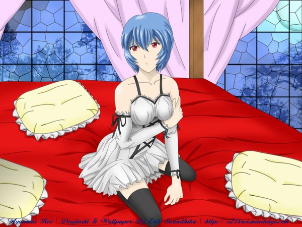 Anime picture 1600x1200 with neon genesis evangelion gainax ayanami rei short hair red eyes blue hair girl pillow bed