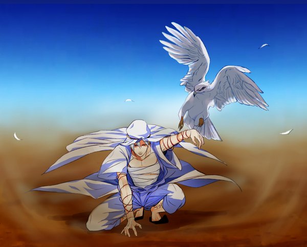 Anime picture 1465x1181 with magi the labyrinth of magic a-1 pictures ja'far (magi) kuz single looking at viewer short hair red eyes sky traditional clothes wind grey hair squat freckles desert boy animal shoes headdress bird (birds)