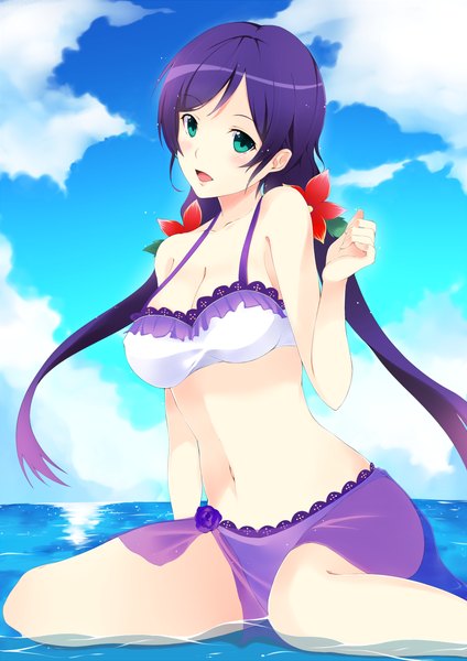 Anime picture 900x1272 with love live! school idol project sunrise (studio) love live! toujou nozomi tommy single long hair tall image looking at viewer blush open mouth blue eyes sitting twintails blue hair sky cloud (clouds) head tilt hair flower low twintails
