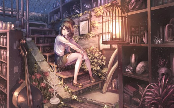 Anime picture 1029x643 with original hyp single looking at viewer short hair brown hair wide image sitting brown eyes girl dress plant (plants) book (books) skull stairs cage cello