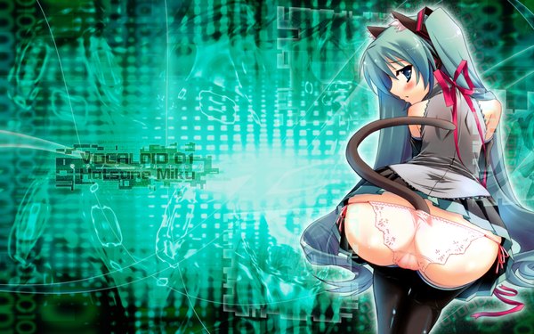 Anime picture 1920x1200 with vocaloid hatsune miku highres light erotic wide image animal ears tail girl underwear panties