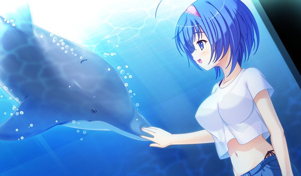 Anime picture 1024x600 with prestar blush short hair open mouth blue eyes wide image blue hair game cg midriff girl navel hairband aquarium dolphin