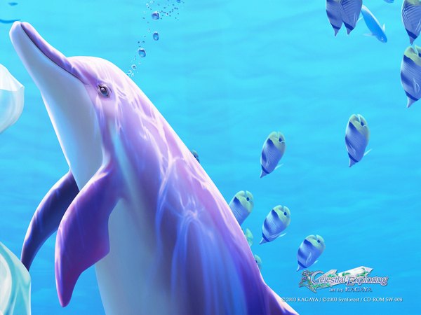 Anime picture 1600x1200 with kagaya underwater 3d water bubble (bubbles) fish (fishes) dolphin