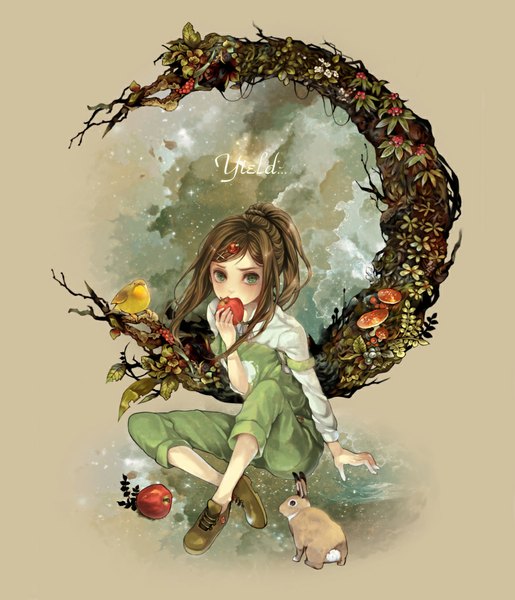 Anime picture 1024x1192 with sound horizon elysion yield ns (pixiv) single long hair tall image blush brown hair sitting green eyes sky cloud (clouds) ponytail crescent girl plant (plants) animal boots bird (birds)