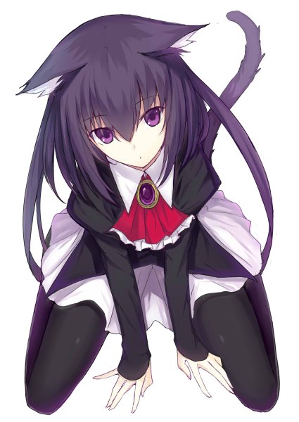 Anime picture 850x1199 with original kauto single long hair tall image looking at viewer fringe simple background white background sitting purple eyes animal ears purple hair tail animal tail from above cat ears cat girl cat tail wariza