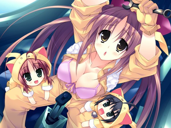 Anime picture 1600x1200 with harukazedori ni tomarigi wo harukazedori ni tomarigi wo 2nd story long hair light erotic brown hair brown eyes game cg chibi girl