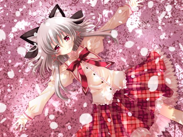 Anime picture 1600x1200 with hanafubuki sakuramori akasha sakurazawa izumi red eyes grey hair girl uniform school uniform petals serafuku