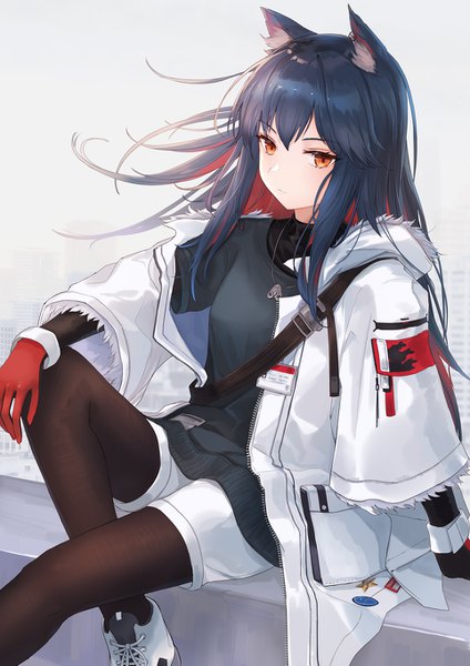 Anime picture 964x1363 with arknights texas (arknights) texas (winter messenger) (arknights) kachi single long hair tall image looking at viewer fringe breasts black hair hair between eyes sitting animal ears red hair long sleeves multicolored hair wide sleeves arm support open jacket