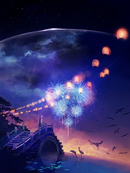 Anime picture 830x1100 with original megatruh long hair tall image brown hair cloud (clouds) night night sky landscape scenic river fireworks girl plant (plants) animal tree (trees) bird (birds) star (stars) cloak lantern