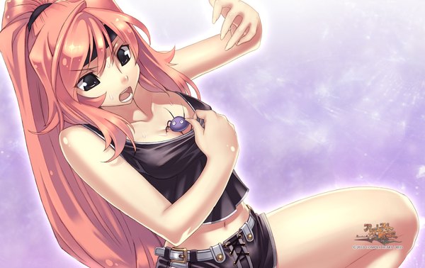 Anime picture 1900x1200 with agarest senki single long hair highres open mouth light erotic brown hair bare shoulders ponytail black eyes girl navel shorts