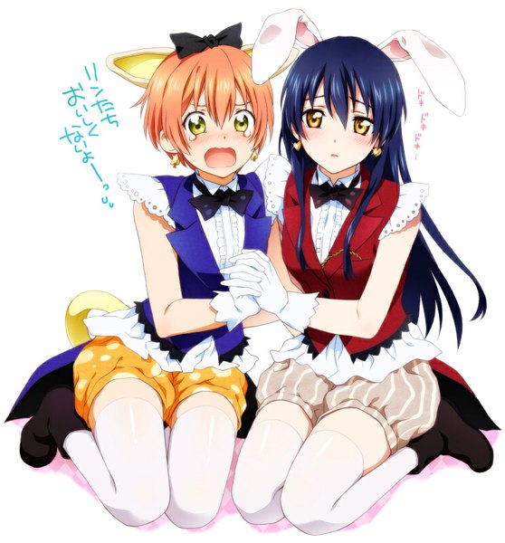 Anime picture 744x800 with love live! school idol project sunrise (studio) love live! sonoda umi hoshizora rin poppo (artist) long hair tall image blush short hair open mouth multiple girls green eyes animal ears yellow eyes blue hair tail parted lips animal tail cat ears