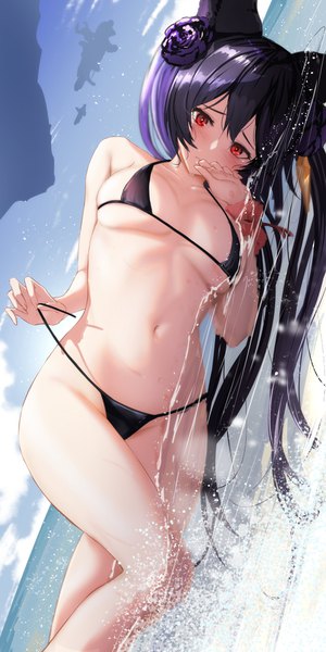 Anime picture 2048x4096 with granblue fantasy nier (granblue fantasy) aiu eo single long hair tall image looking at viewer blush fringe highres breasts light erotic black hair hair between eyes red eyes animal ears sky cleavage cloud (clouds) outdoors