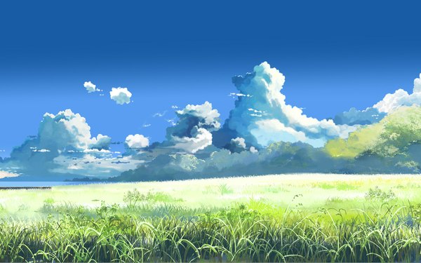 Anime picture 1920x1200 with kumo no mukou yakusoku no basho shinkai makoto highres wide image sky cloud (clouds) landscape plant (plants) tree (trees) grass
