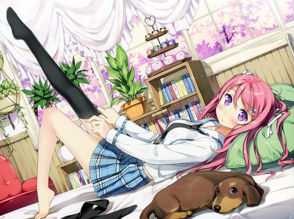 Anime picture 3386x2532 with original kurumi (kantoku) kantoku single long hair looking at viewer blush highres open mouth purple eyes pink hair absurdres bent knee (knees) indoors lying :o on back two side up cherry blossoms girl