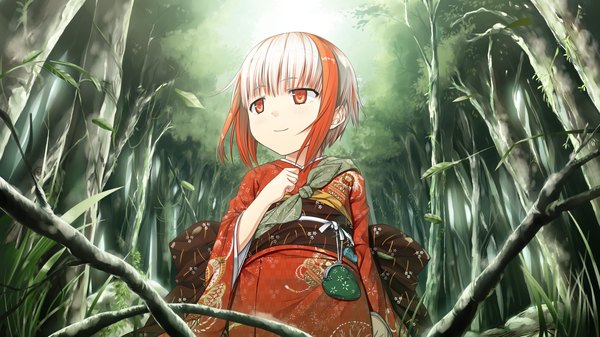 Anime picture 2560x1440 with monobeno sumi (monobeno) cura highres short hair red eyes wide image game cg japanese clothes multicolored hair loli girl plant (plants) tree (trees) kimono obi forest