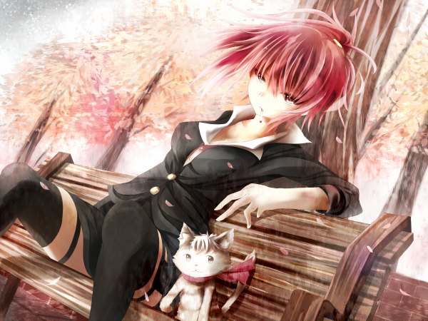 Anime picture 1200x900 with paper man reka (paperman) umagenzin red eyes red hair girl thighhighs black thighhighs plant (plants) animal petals tree (trees) cat bench