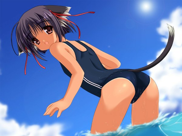 Anime picture 1024x768 with light erotic animal ears tail cat ears swimsuit one-piece swimsuit school swimsuit