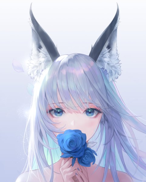 Anime-Bild 3000x3734 mit original kookoo single long hair tall image looking at viewer fringe highres blue eyes simple background holding animal ears silver hair nail polish arms up fox ears gradient background fox girl portrait covered mouth