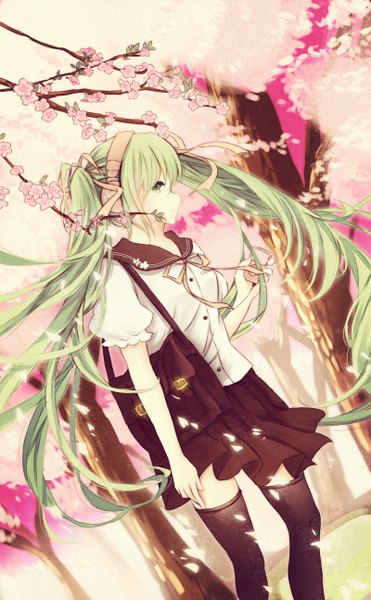 Anime picture 800x1294 with vocaloid hatsune miku spring miku cangchen single tall image twintails very long hair profile aqua eyes aqua hair cherry blossoms girl thighhighs skirt uniform black thighhighs plant (plants) petals tree (trees)