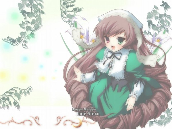 Anime picture 1024x768 with rozen maiden suiseiseki heterochromia tagme jade stern