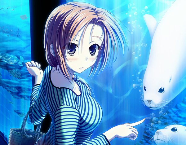 Anime picture 1181x922 with original ulisutariasu (artist) blush short hair brown hair black eyes girl underwear animal aquarium turtle