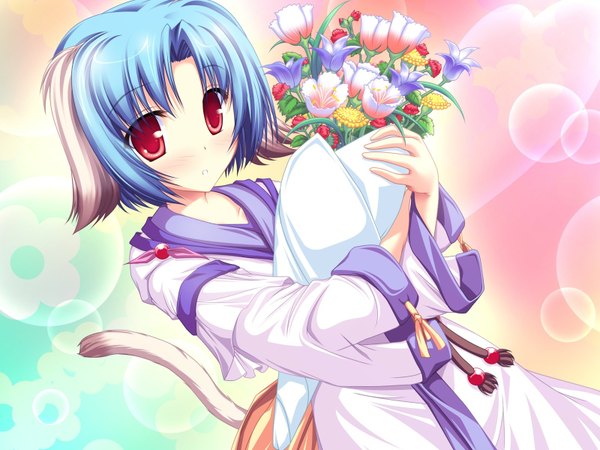 Anime picture 1600x1200 with inakoi haruhi sarasa tenmaso blush short hair red eyes animal ears blue hair tail animal tail girl flower (flowers) bouquet