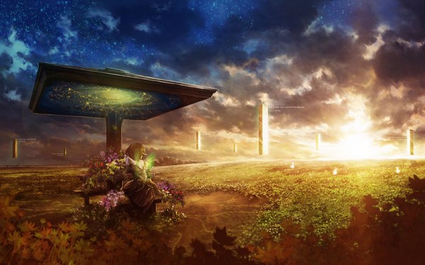 Anime picture 1920x1200 with original rel single highres short hair brown hair wide image bare shoulders sky cloud (clouds) from behind sunlight night back scenic field girl dress flower (flowers) plant (plants)