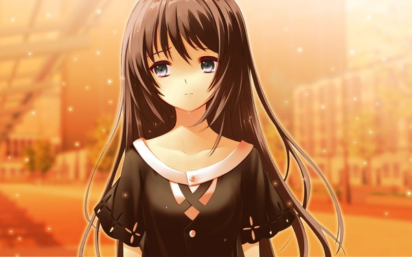 Anime picture 1920x1200 with flyable heart shirasagi mayuri single long hair highres brown hair wide image black eyes girl