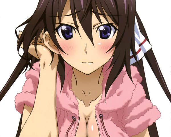 Anime picture 2560x2048 with infinite stratos 8bit shinonono houki long hair looking at viewer blush highres light erotic black hair simple background white background purple eyes face girl