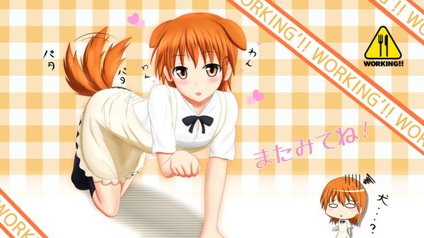 Anime picture 1600x900 with working!! a-1 pictures inami mahiru blush short hair wide image orange hair inscription orange eyes hieroglyph :p dog ears waitress dog tail girl heart tongue apron sign