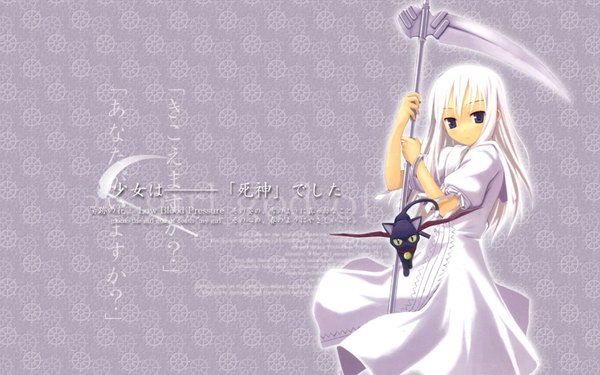 Anime picture 1680x1050 with shinigami no ballad momo (shinigami no ballad) long hair looking at viewer wide image white hair black eyes blurry inscription girl dress weapon animal white dress cat scythe