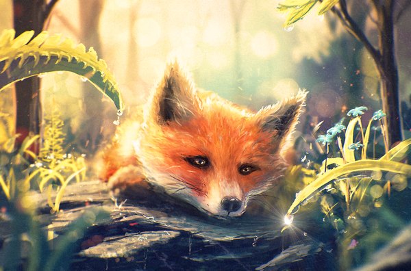 Anime picture 2000x1323 with original sylar113 highres no people glow flower (flowers) plant (plants) animal water water drop fox