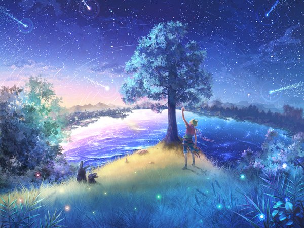 Anime picture 2048x1536 with piku cat kuro (pixiv 906751) single highres blonde hair animal ears sky from behind outstretched arm city mountain landscape scenic shooting star meteor rain boy plant (plants) animal tree (trees) water