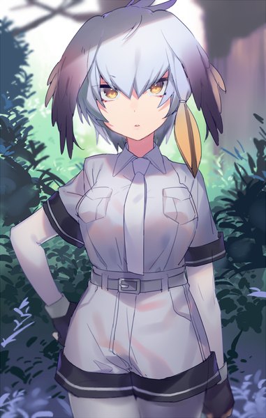 Anime picture 800x1258 with kemono friends shoebill (kemono friends) heiwa (murasiho) single tall image looking at viewer fringe short hair hair between eyes standing yellow eyes silver hair outdoors hand on hip girl gloves black gloves necktie