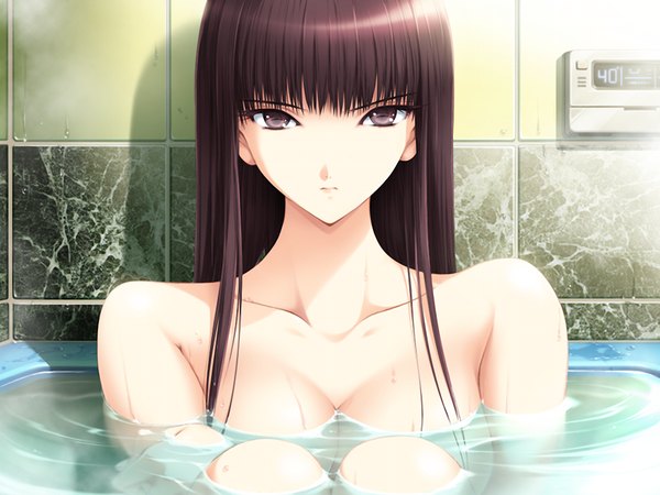 Anime picture 1024x768 with ningen debris sonobe sora single long hair light erotic brown hair brown eyes game cg girl water bath