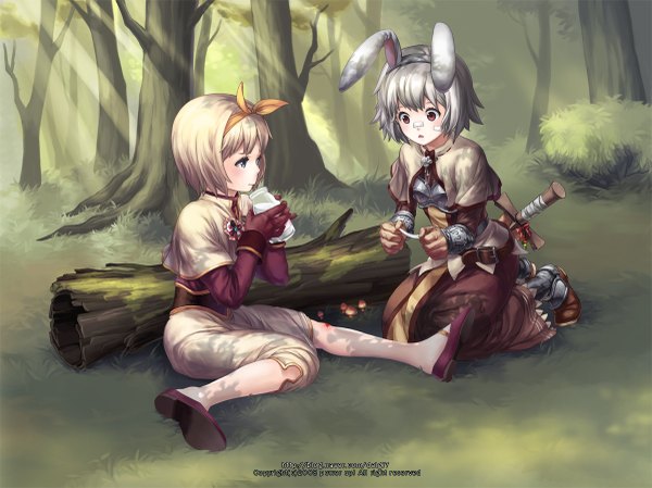 Anime picture 1200x899 with ragnarok online acolyte (ragnarok online) swordsman (ragnarok online) short hair blue eyes blonde hair sitting multiple girls brown eyes animal ears outdoors white hair sunlight shadow bunny ears kneeling nature drinking injury girl